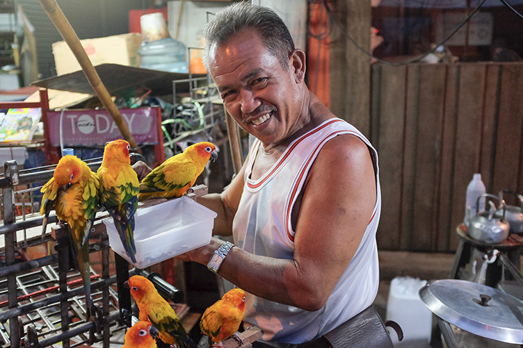 Parrot Vendor